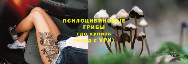 spice Арсеньев